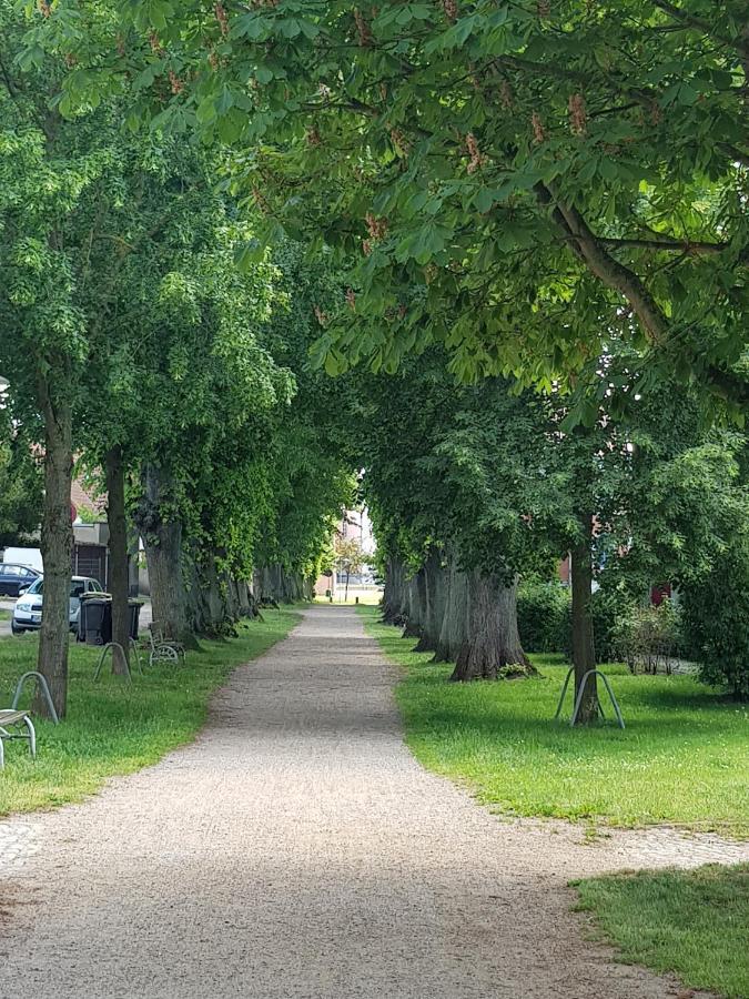Ferienwohnung In Ostseenaehe Grevesmuehlen Luaran gambar